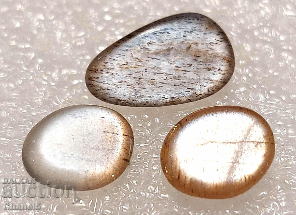 Auction NATURAL MOON STONES 3 pcs. - INDIA - (431) Auction NATURAL MOON STONES 3 pcs. - INDIA - (431)