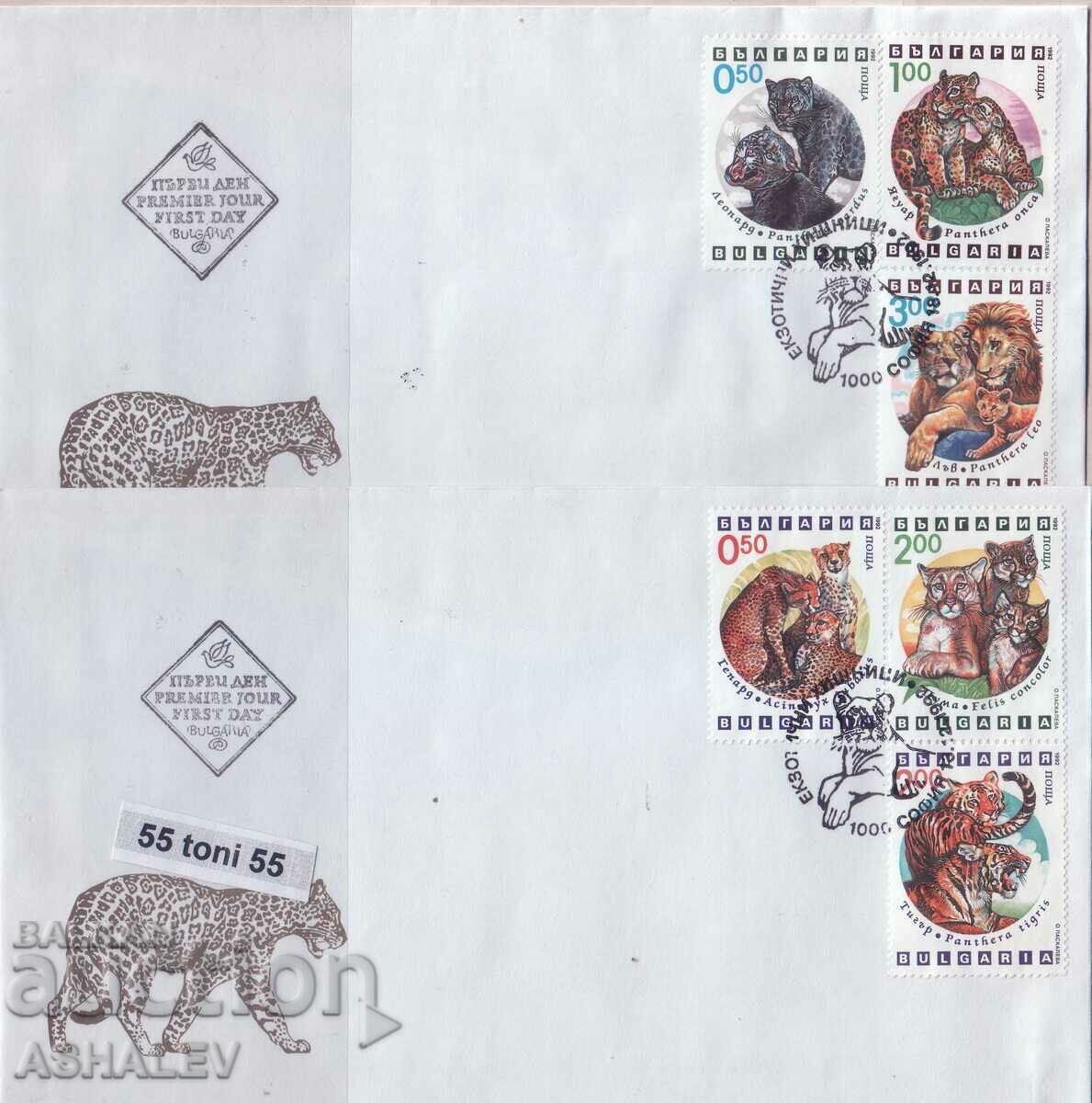 1992 Фауна-Екзотични хищници  6 марки- 2 FDC