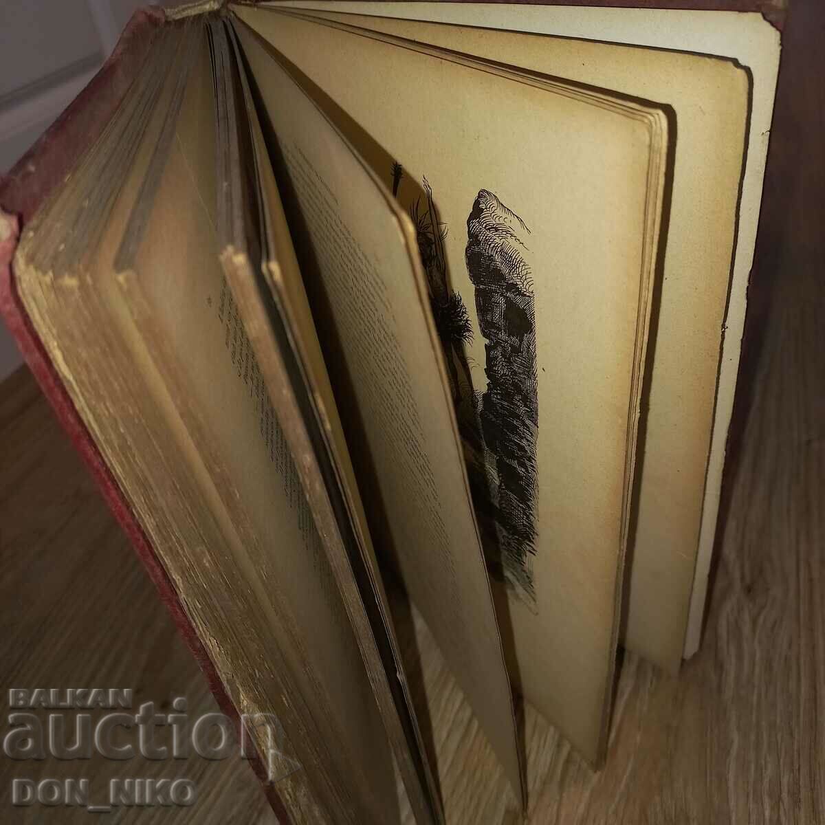 Auction Book The Last of the Mohicans in French Auction Book The Last of the Mohicans in French