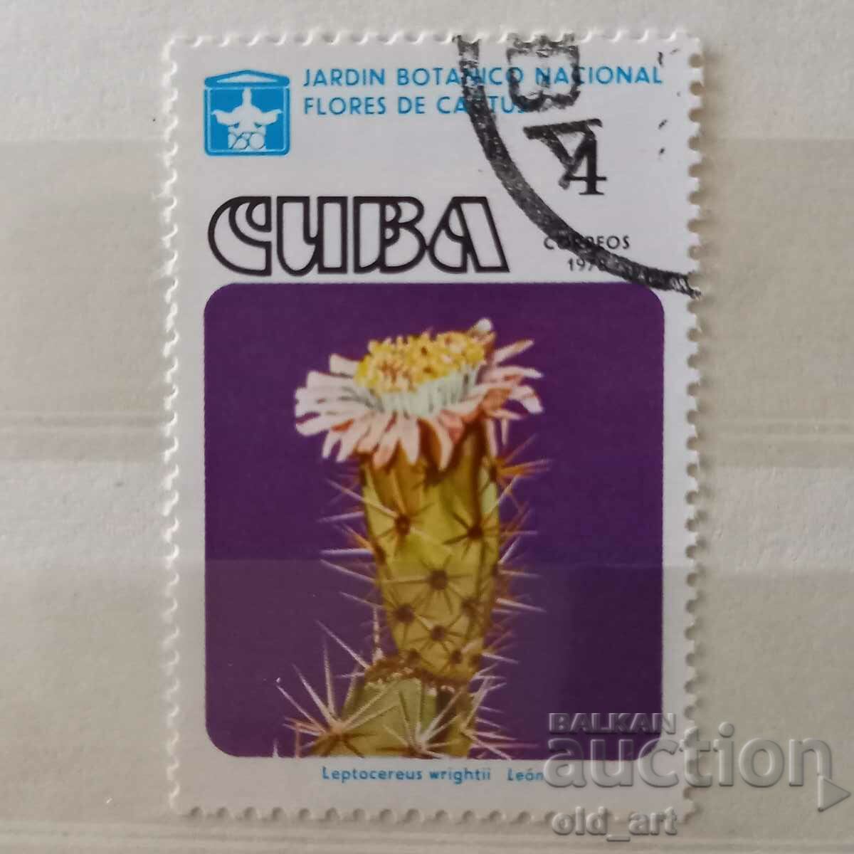 Пощенска марка - Куба,  Кактуси