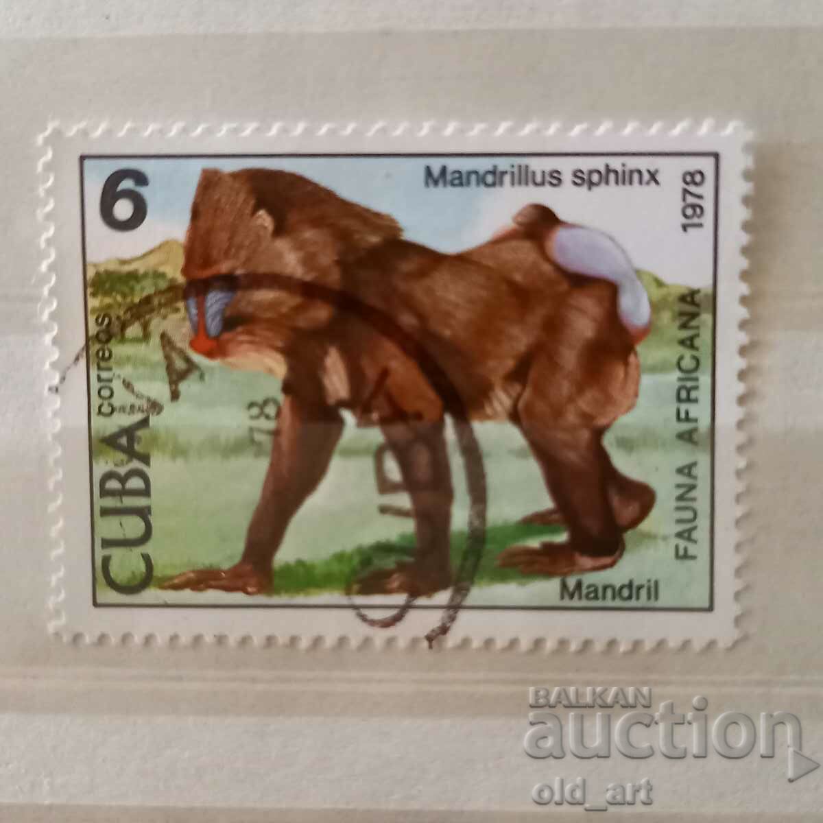 Postage stamp - Cuba, Monkeys