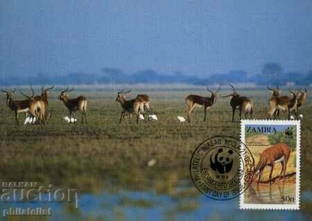 Zambia - 1987 - Maxim 4 cărți - WWF