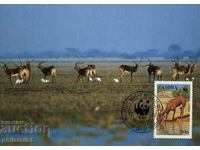 Zambia - 1987 - Maxim 4 cărți - WWF