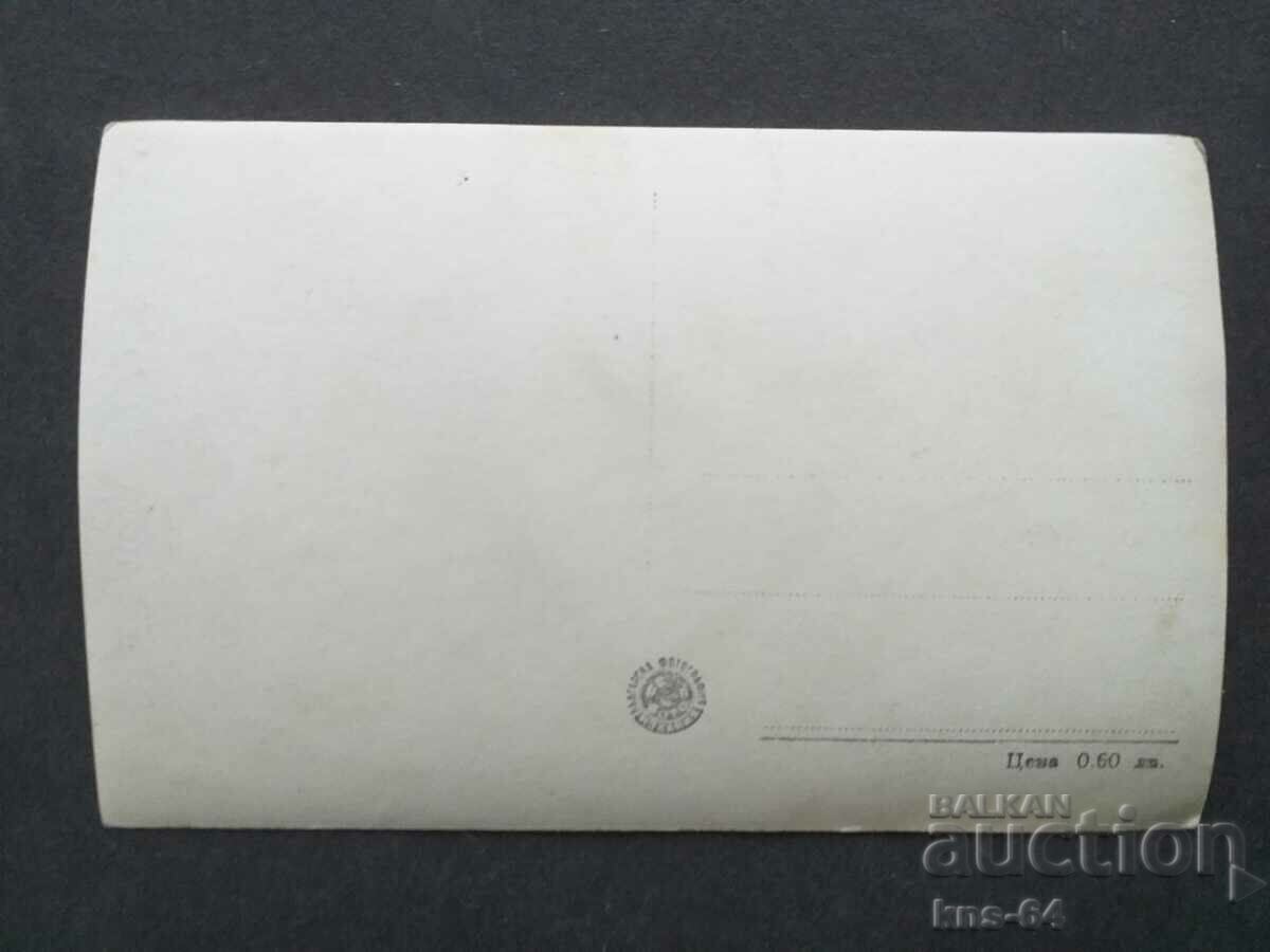 Shipka with price 1.60 BGN | € 0.82