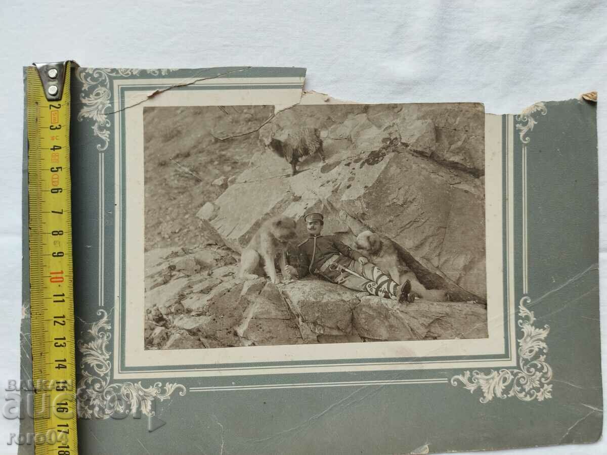 Licitație fotografii vechi - CARTON Licitație fotografii vechi - CARTON