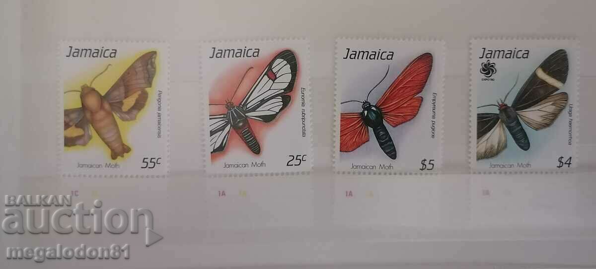 Ямайка - пеперуди
