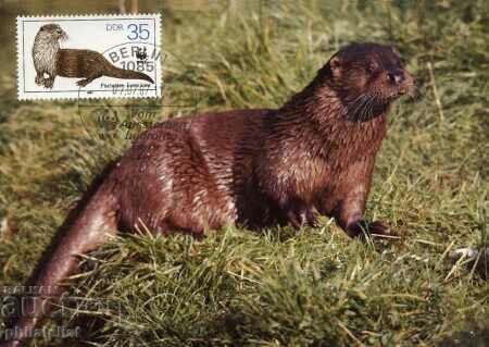 Auction German Democratic Republic 1987 - 4 pcs. Cards Maximum Auction German Democratic Republic 1987 - 4 pcs. Cards Maximum