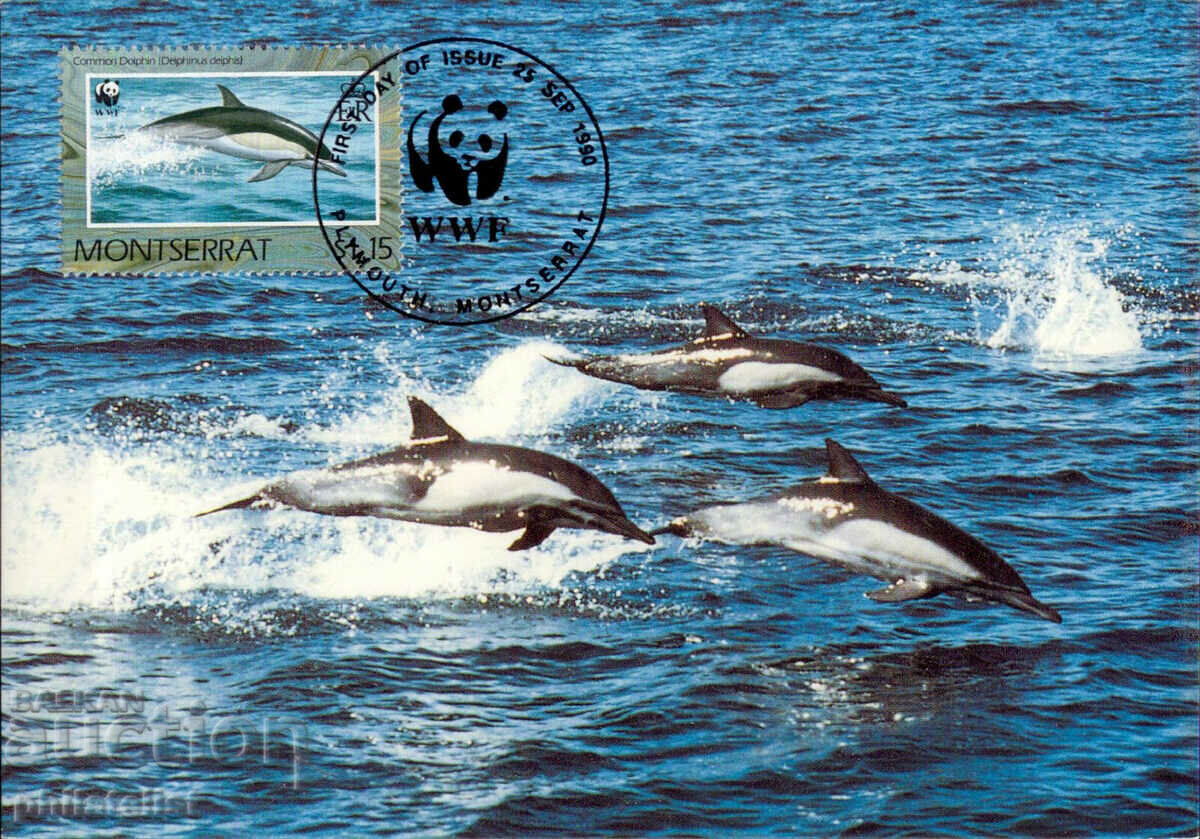 Montserrat 1990 - 4 cards Maximum - WWF with price 4.00 BGN | € 2.05 Montserrat 1990 - 4 cards Maximum - WWF with price 4.00 BGN | € 2.05