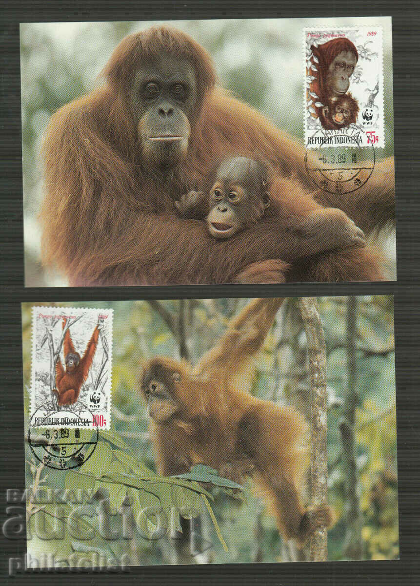 Indonesia 1983 - 4 cards Maximum - WWF with price 4.00 BGN | € 2.05 Indonesia 1983 - 4 cards Maximum - WWF with price 4.00 BGN | € 2.05