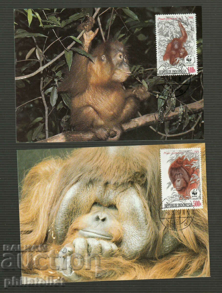 Индонезия 1983 -  4 броя Карти Максимум - WWF