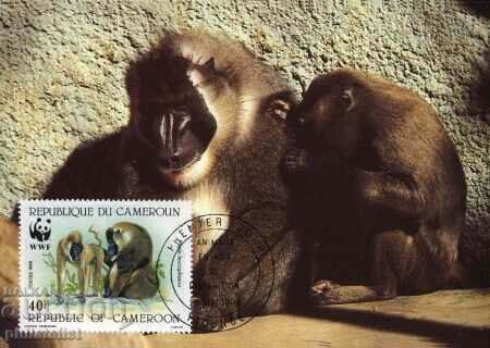 Cameroon 1988 - 4 cards Maximum - WWF with price 4.00 BGN | € 2.05 Cameroon 1988 - 4 cards Maximum - WWF with price 4.00 BGN | € 2.05