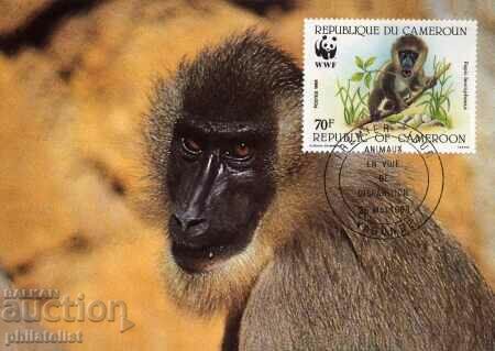 Auction Cameroon 1988 - 4 cards Maximum - WWF Auction Cameroon 1988 - 4 cards Maximum - WWF