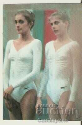 Sport-toto calendar 1987. Rhythmic gymnastics
