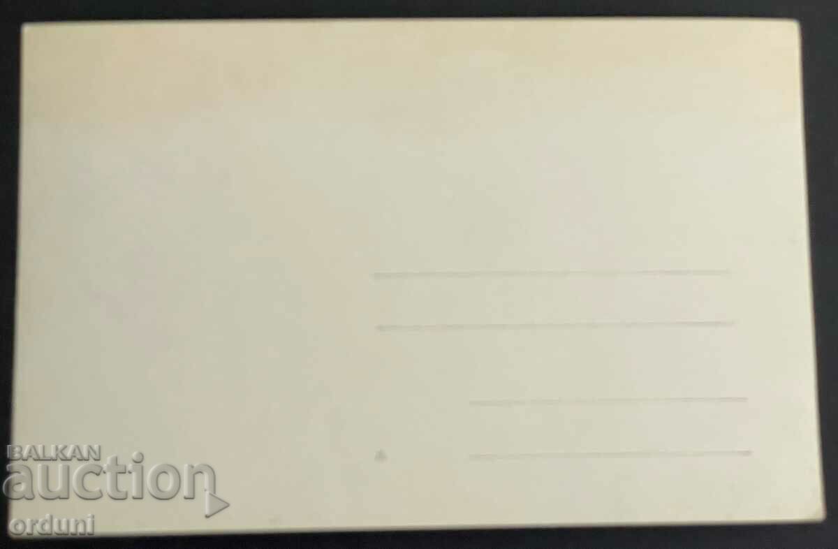 3016 Kingdom of Bulgaria city of Smyadovo municipal halls 1920 with price 25.00 BGN | € 12.78 3016 Kingdom of Bulgaria city of Smyadovo municipal halls 1920 with price 25.00 BGN | € 12.78