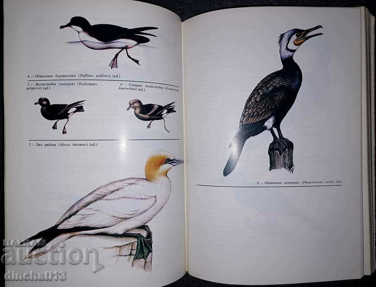 Delivery of Fauna of Bulgaria. Volume 20. Part 1 Aves Delivery of Fauna of Bulgaria. Volume 20. Part 1 Aves