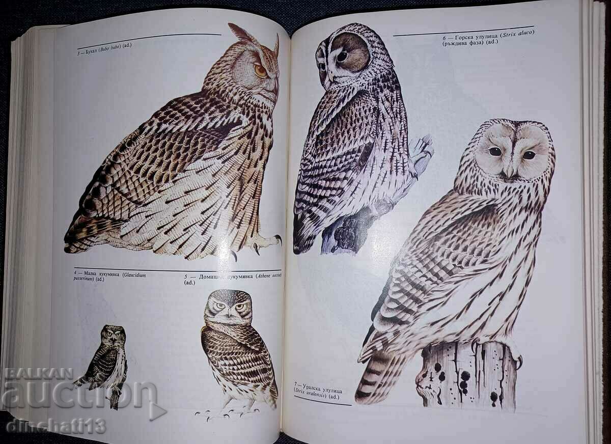 Fauna of Bulgaria. Volume 20. Part 1 Aves - 6 Fauna of Bulgaria. Volume 20. Part 1 Aves - 6