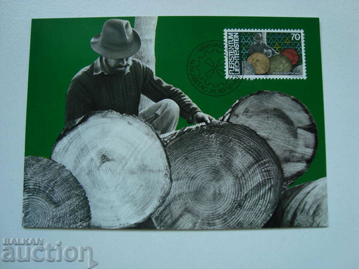 KM Лихтенщайн 1982 г. - 5