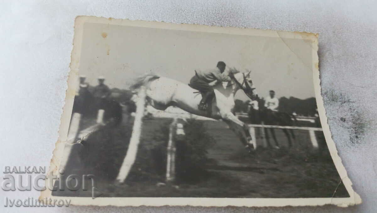 Photo Horse race