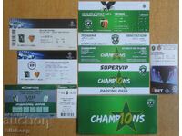 Football tickets for Ludogorets, Lokomotiv Pd, Botev, Beroe, Israel