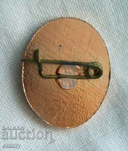 Badge Ivan Vazov - writer, Bulgaria with price 3.00 BGN | € 1.53 Badge Ivan Vazov - writer, Bulgaria with price 3.00 BGN | € 1.53