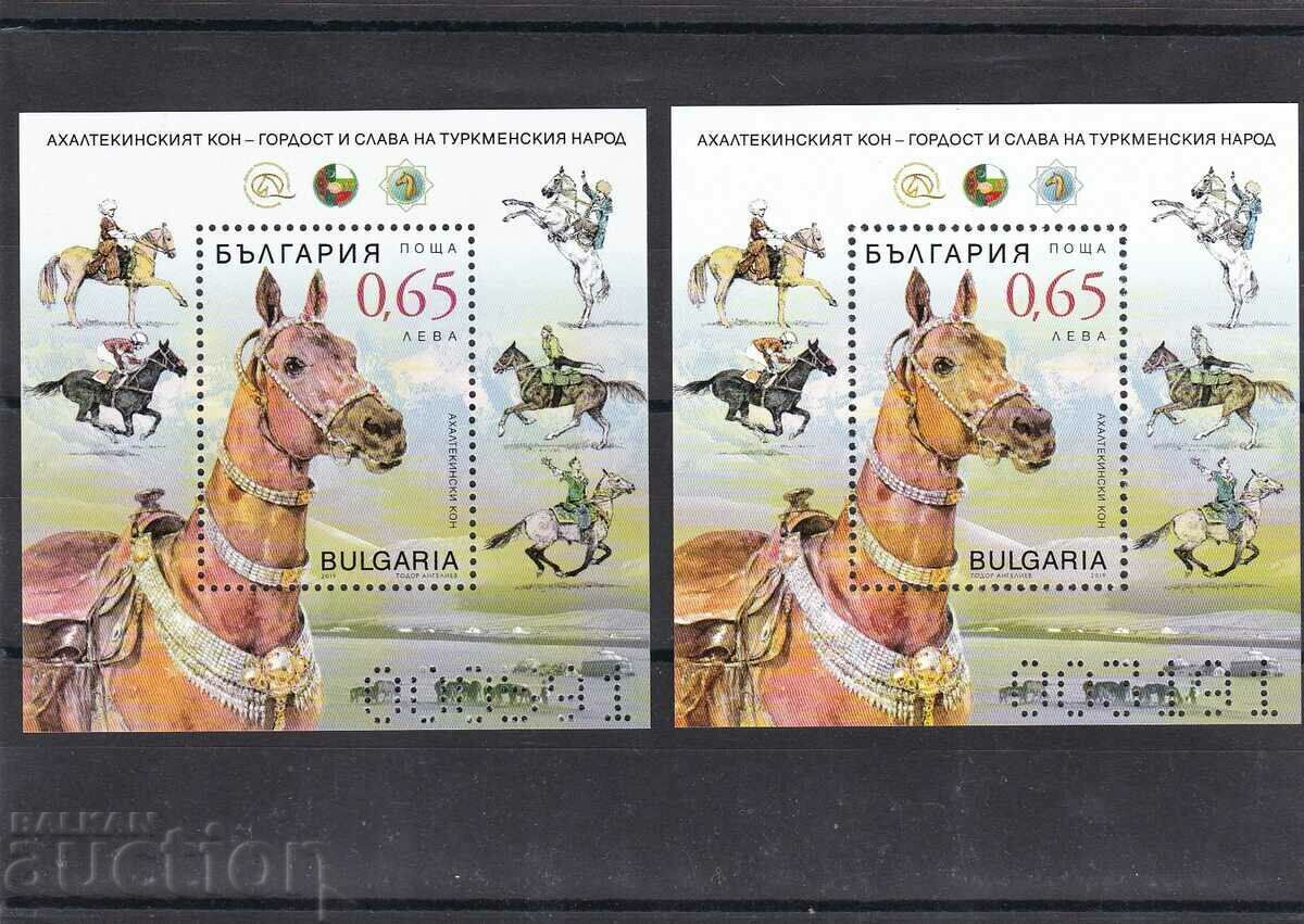 Small circulation blocks No. 5397 2019. Akhal-Teke horse