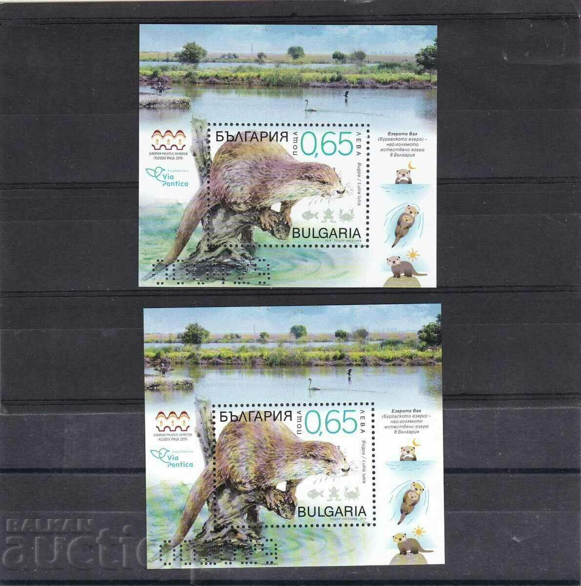 Small circulation blocks No. 55432 2019. Otter