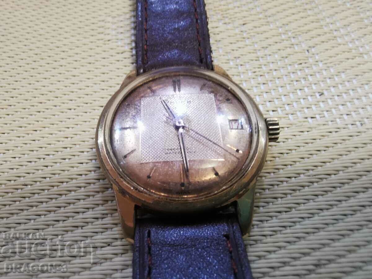 GOLDEN ROYCE with price 155.00 BGN | € 79.25