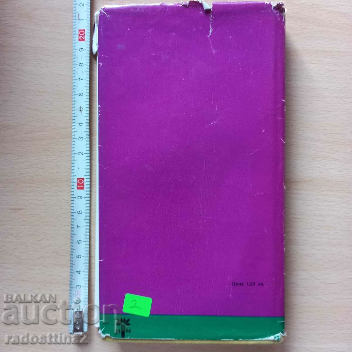 Carson McCullers watch without hands with price 1.99 BGN | € 1.02