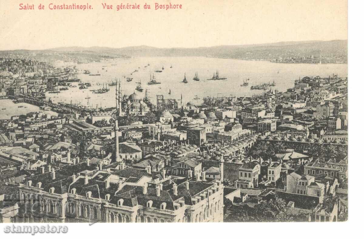 Изглед от Константинопол - около 1920