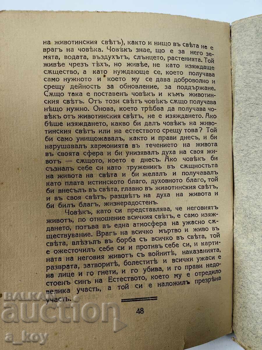 PROBLEME ILUMINATE REGATUL BULGARIA - 5