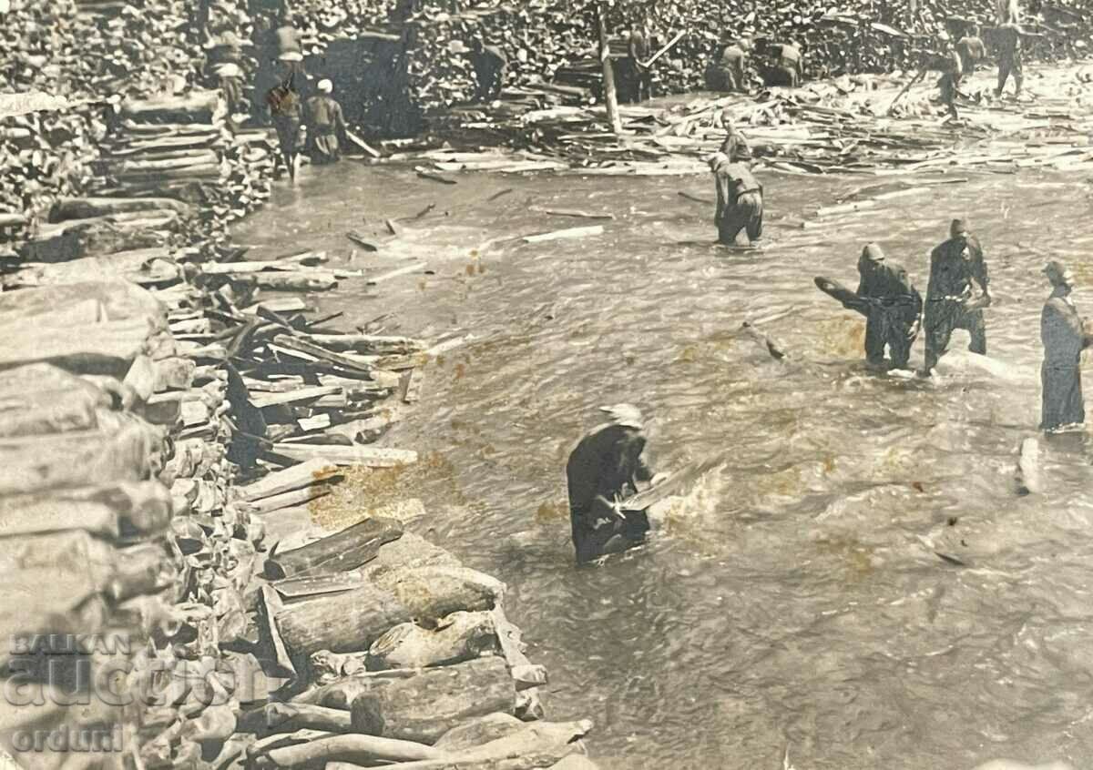 Auction 3077 Kingdom of Bulgaria The Rhodope pomacs line the river 1920 Auction 3077 Kingdom of Bulgaria The Rhodope pomacs line the river 1920