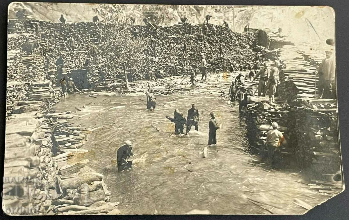 3077 Regatul Bulgariei Pomacii de Rodopi mărginesc fluviul 1920