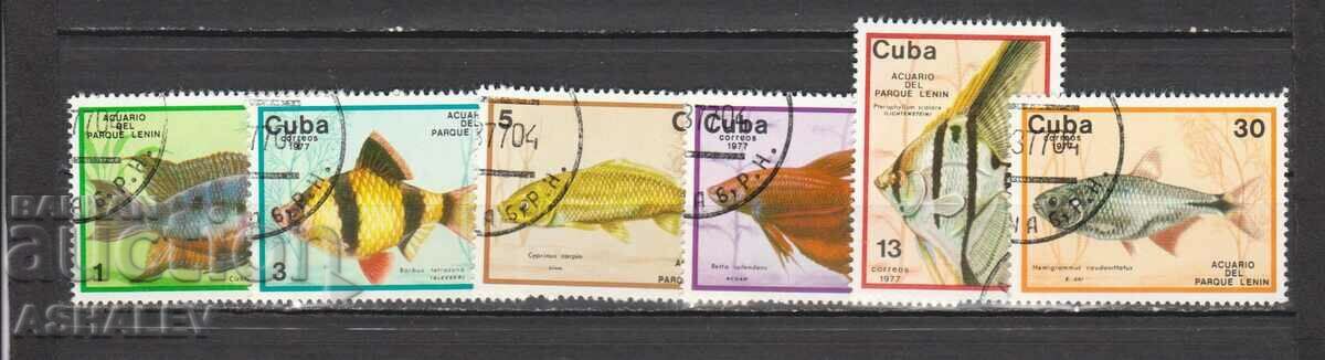 CUBA - Fauna-Fish with stamp 6 stamps