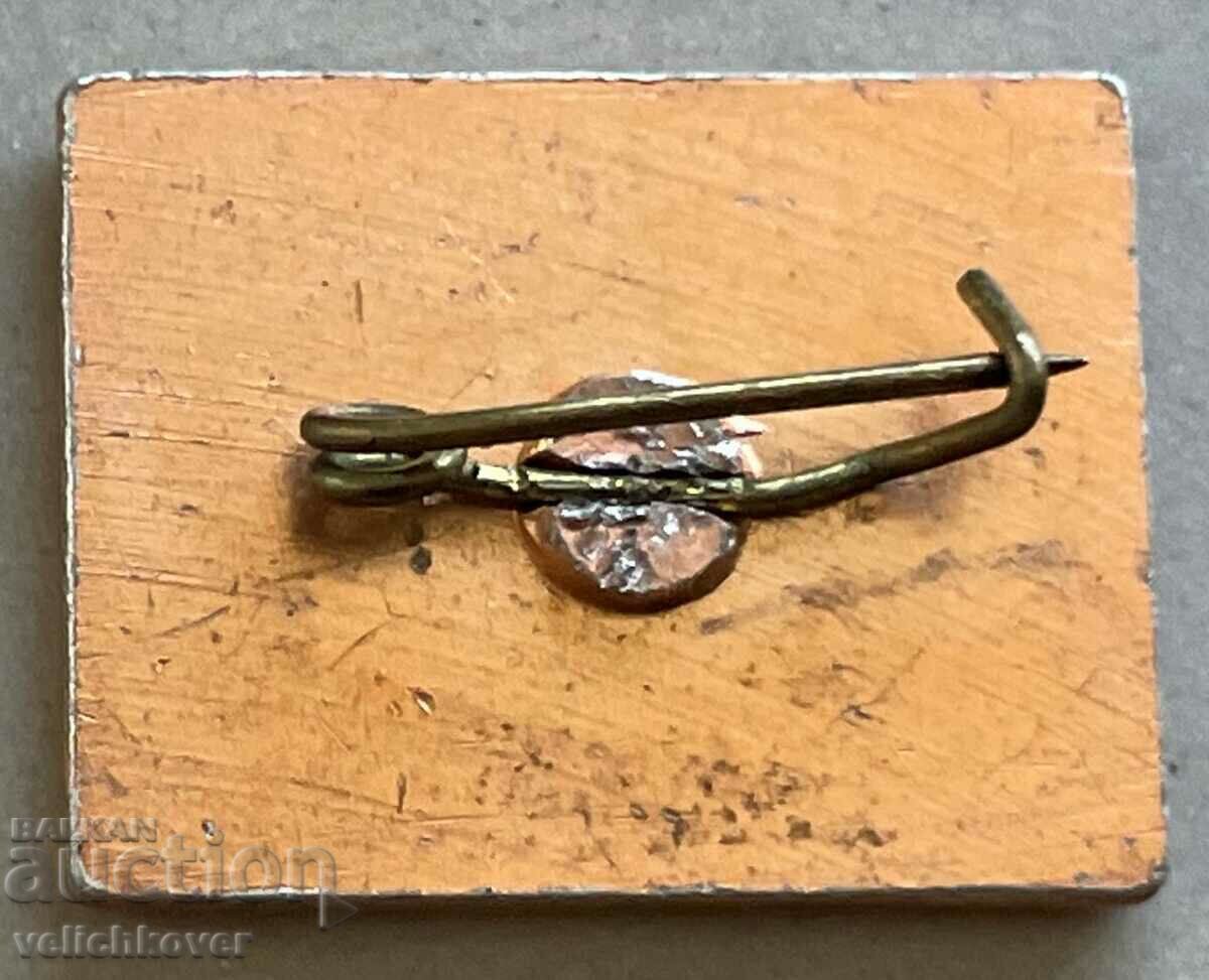 33614 Bulgaria sign Torpedo carrier Darzki with price 3.00 BGN | € 1.53 33614 Bulgaria sign Torpedo carrier Darzki with price 3.00 BGN | € 1.53