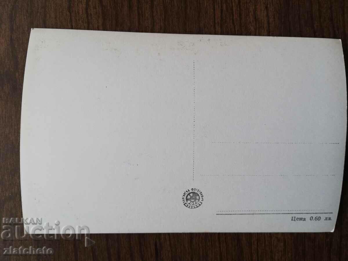Auction  Postcard - Pleven