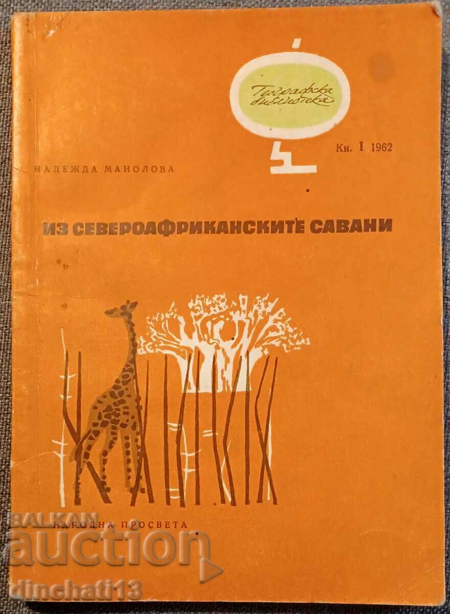 Through the North African savannas: Nadezhda Manolova