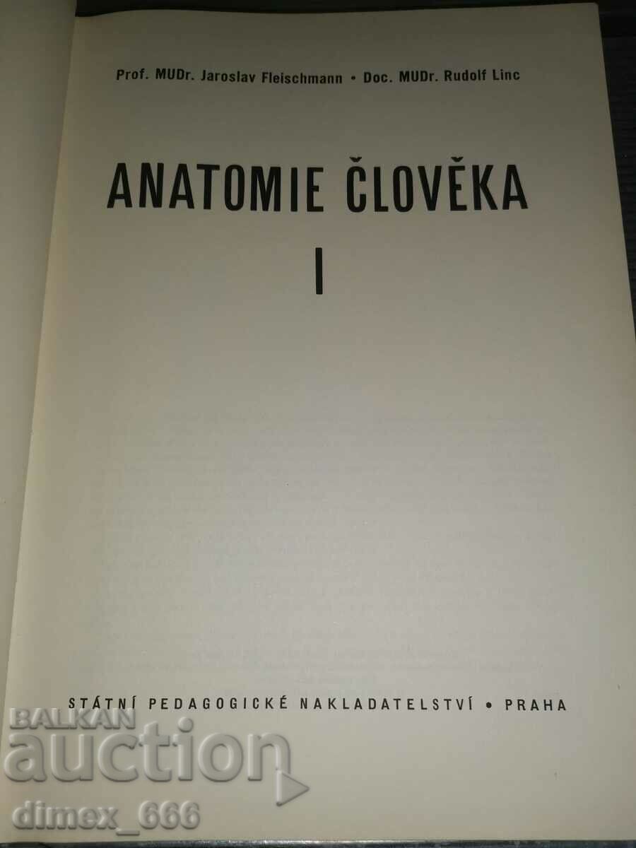 Anatomie člověka I	Rudolf Linc & Jaroslav Fleischmann