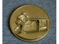 Placă de bronz cu medalia autorului de tenis de masă din 1982