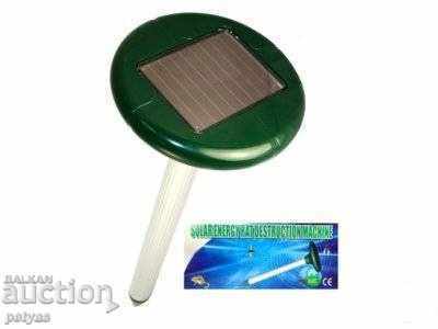 Auction  Mole combat machine, dummy dog and ants -1000 KB