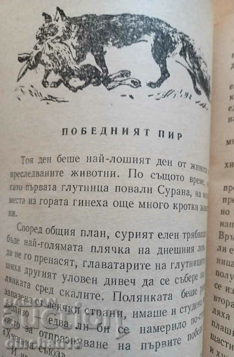 The wild forest: Orlin Vassilev - 5 The wild forest: Orlin Vassilev - 5