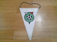 Football flag BFS Bulgaria triangular football flag