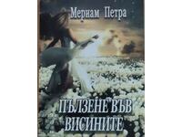 Crawling in the Heights - Merriam Petra
