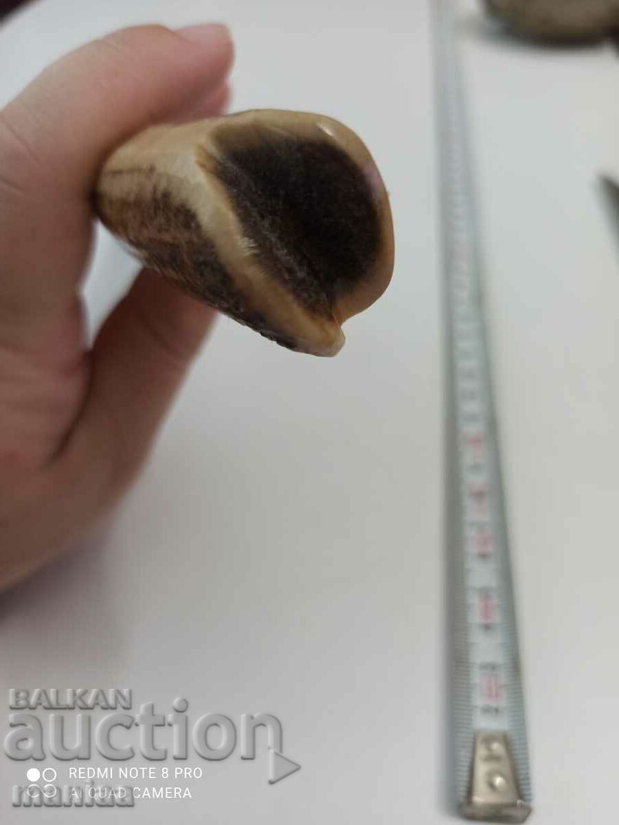 Old Bulgarian knife with a deer horn handle - 5 Old Bulgarian knife with a deer horn handle - 5