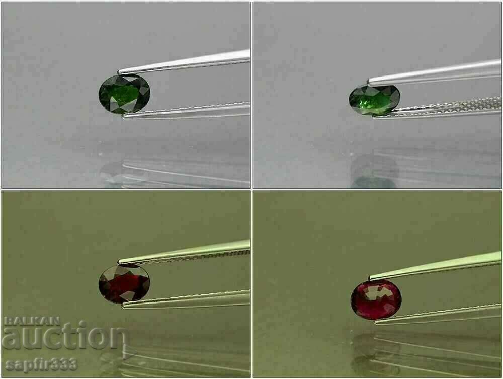 EXTREMELY RARE AND BEAUTIFUL CHROME TOURMALINE - 5 EXTREMELY RARE AND BEAUTIFUL CHROME TOURMALINE - 5