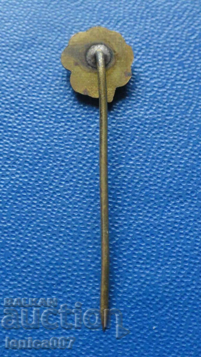 Auction  FC Panathinaikos badge