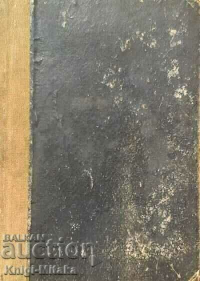 The strange traveler - Botyo Savov The strange traveler - Botyo Savov