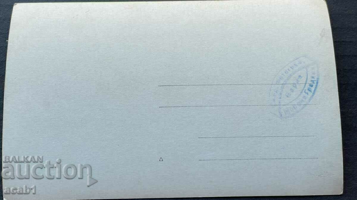 Auction Varna Sea Garden Auction Varna Sea Garden