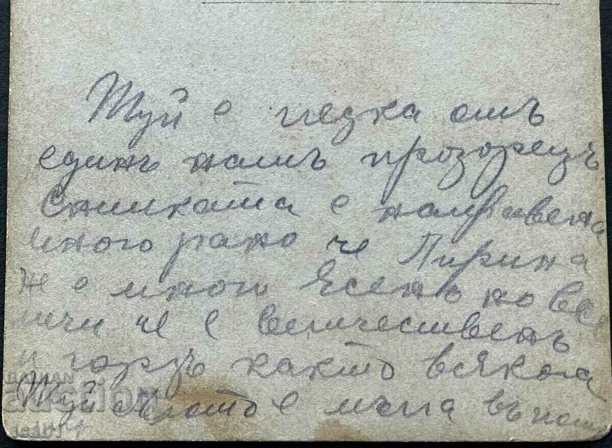 Auction Majestic and proud Pirin Auction Majestic and proud Pirin