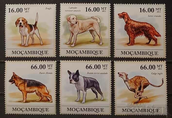 Mozambique 2011 Fauna/Dogs €20 MNH