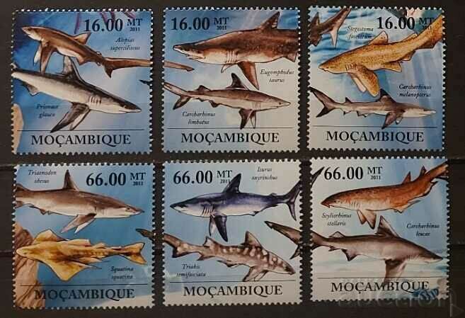 Μοζαμβίκη 2011 Πανίδα/Ψάρια/Καρχαρίες 20€ MNH